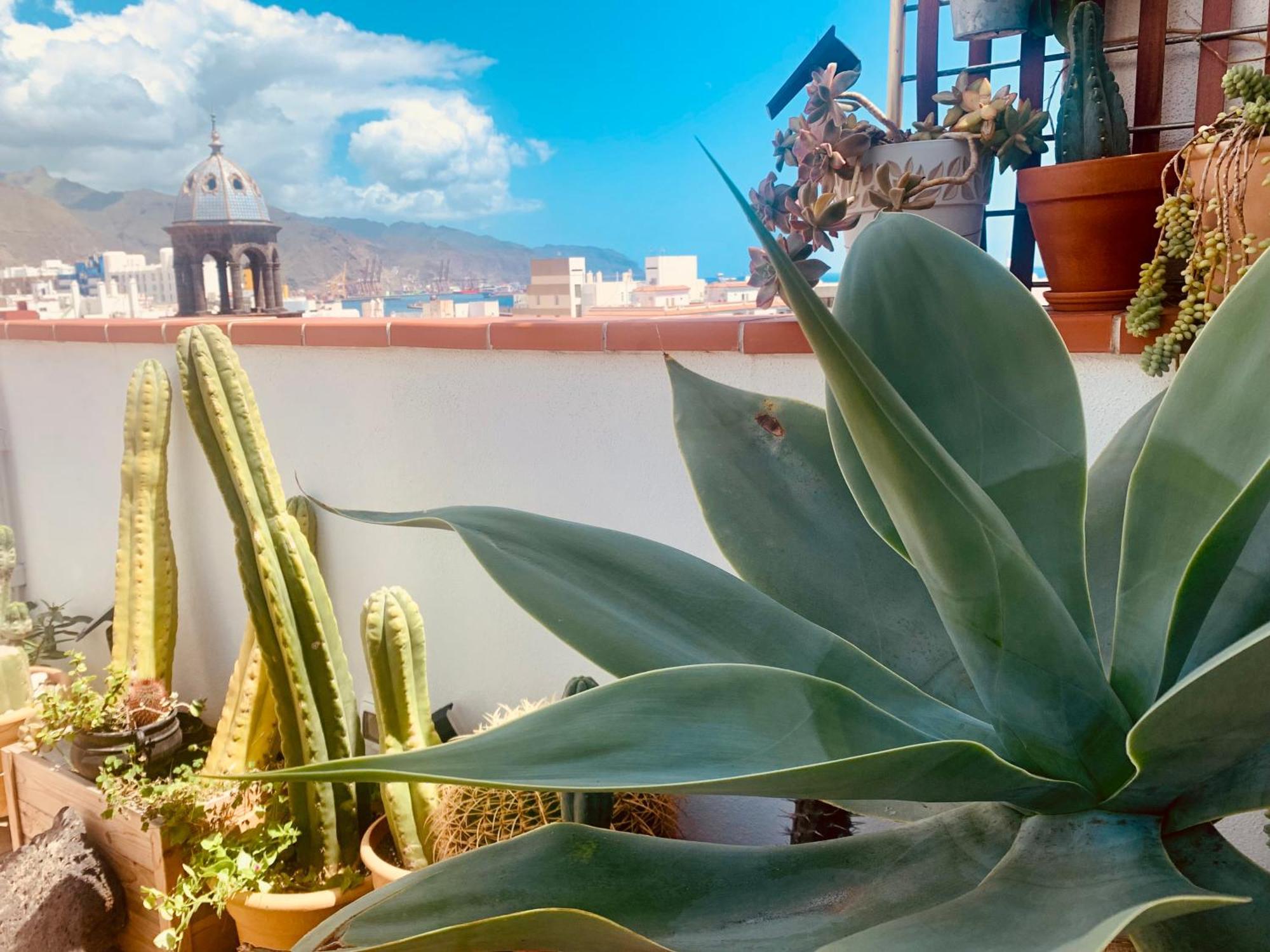 شقة Atico Con Terraza, Vistas Panoramicas Y Parking سانتا كروز دي تينيريف المظهر الخارجي الصورة